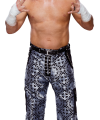 Matt_Hardy_stat--28024da4e1547eb9e571988388a4ca79.png